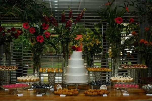 vaso tubular transparente - minicasamento